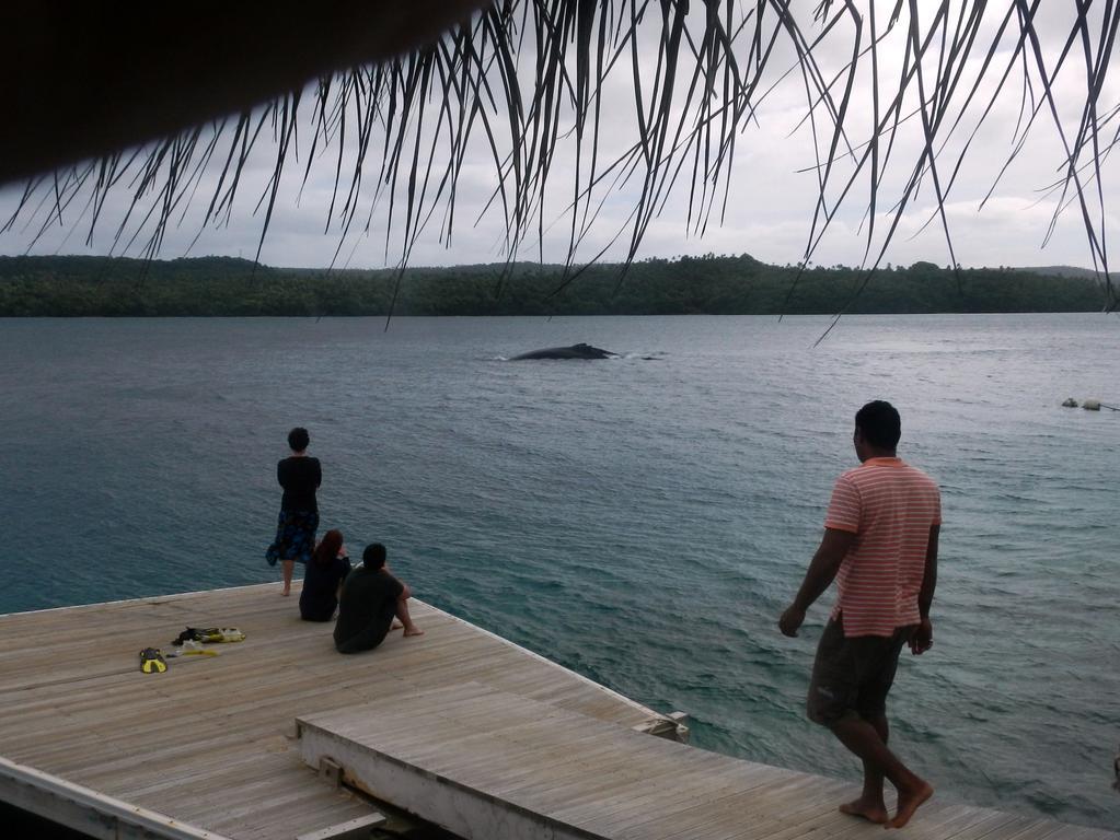 Tongan Beach Resort Utungake Екстер'єр фото